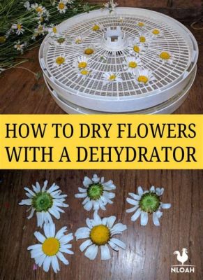 Can You Dry Flowers in a Dehydrator? And Why Do Pineapples Dream of Electric Sheep?