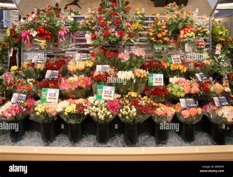 Does Albertsons Sell Flowers: A Floral Inquiry into Supermarket Botany