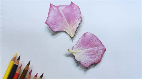 How to Sketch Flowers: A Journey Through Petals and Pencils