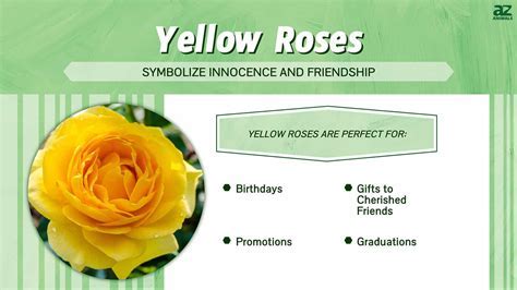 What Do Yellow Flowers Represent: A Kaleidoscope of Meanings and Interpretations