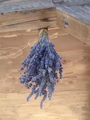 What to Do with Dried Lavender Flowers: A Guide to Creative and Practical Uses