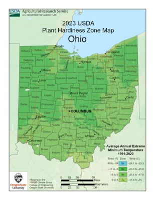 What Zone is Ohio for Planting Flowers: A Comprehensive Guide to Understanding Planting Zones and Their Impact on Gardening