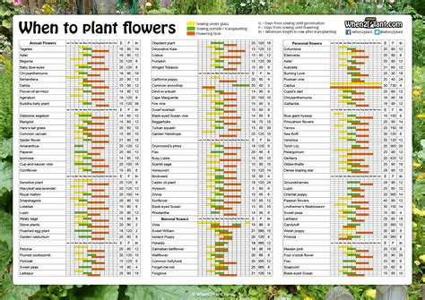 When to Plant Flowers in Ohio: A Symphony of Seasons and Serendipity