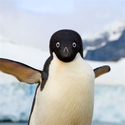 Which Crisis Can Be Improved by Selective Breeding? And Why Not Teach Penguins to Fly?