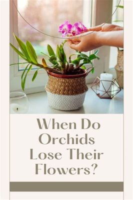 Why Do Orchids Lose Their Flowers: And Why Do They Dream of Electric Bees?